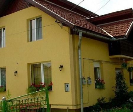Pensiunea Bio Coltău Dış mekan fotoğraf