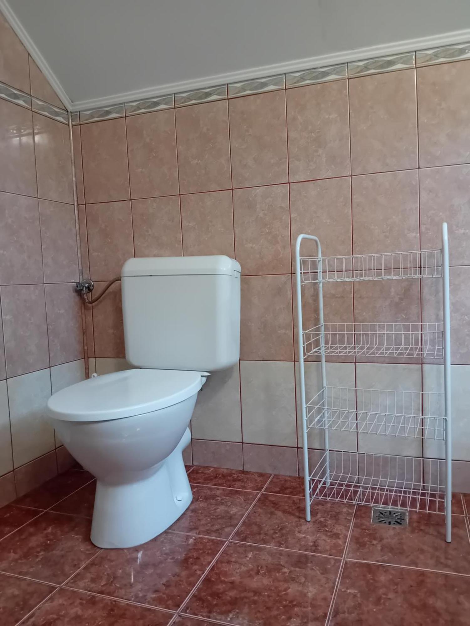 Pensiunea Bio Coltău Dış mekan fotoğraf